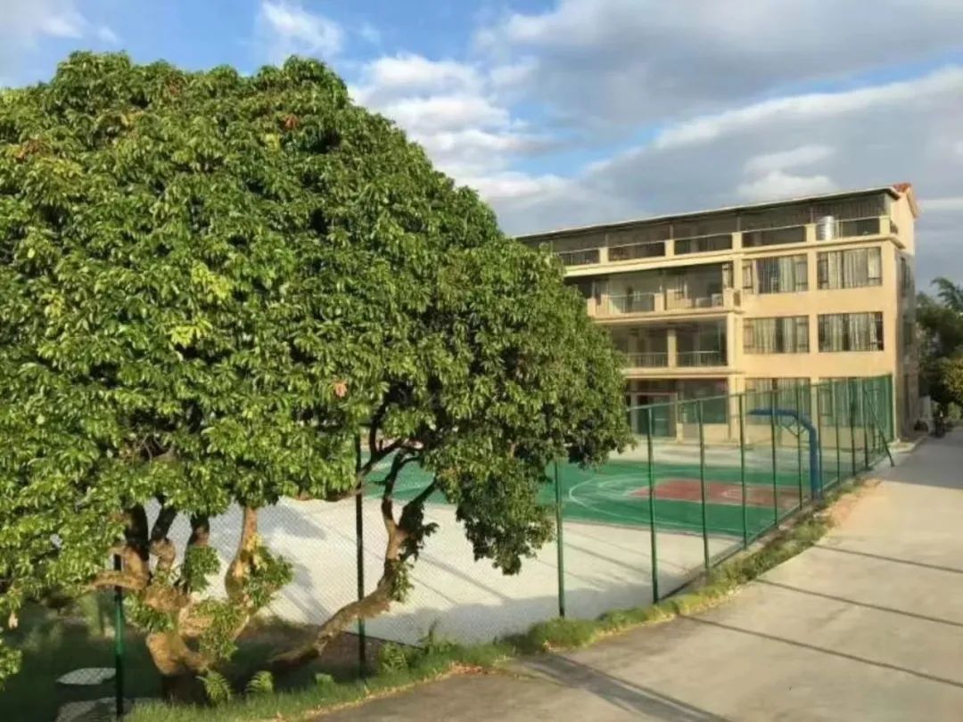 1683356882802006.jpg 环境.jpg