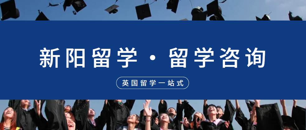 1699490704848.png
