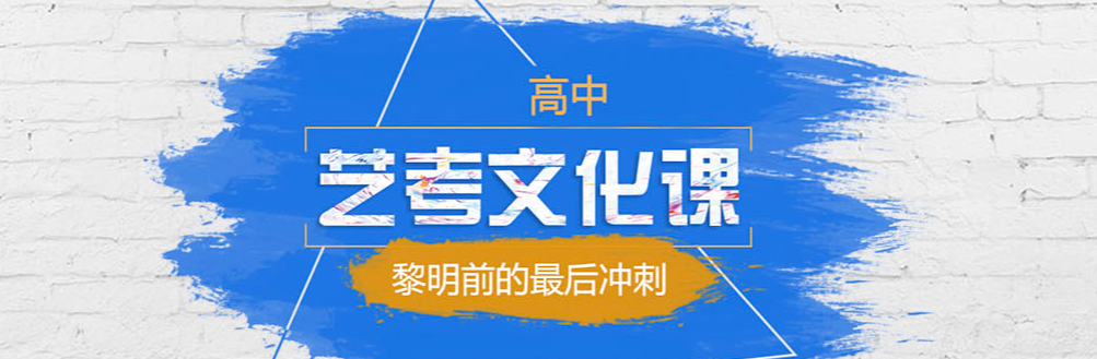 艺考文化.png