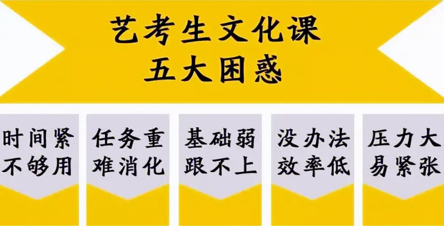 艺考文化课.png