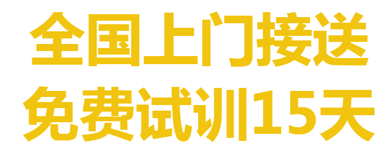 QQ截图20231204132916.png