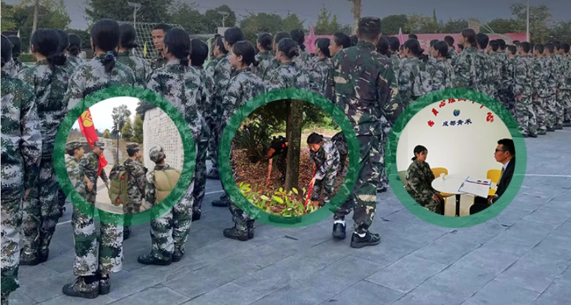 QQ截图20231013131521.png