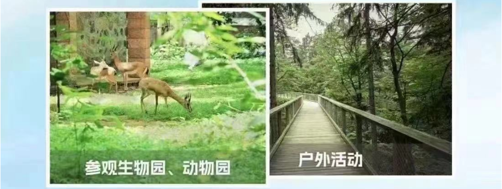 QQ截图20240520134217.png
