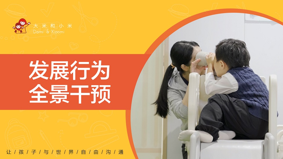 发展行为全景干预.jpg