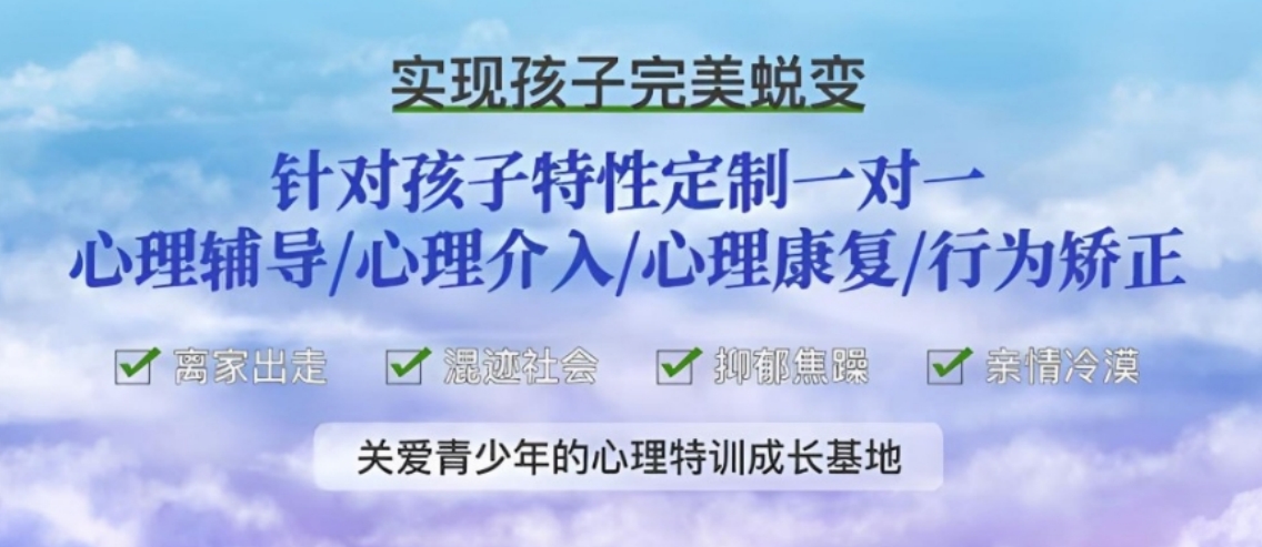 叛逆一对一.png