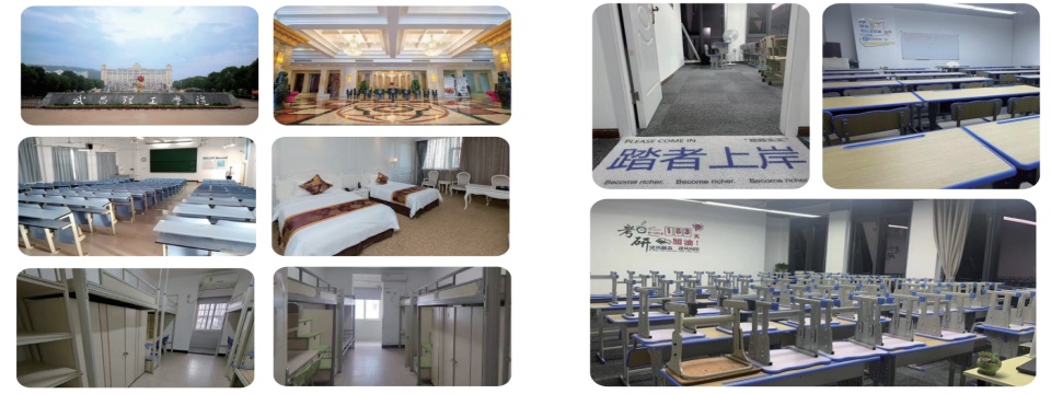 环境拼5.jpg