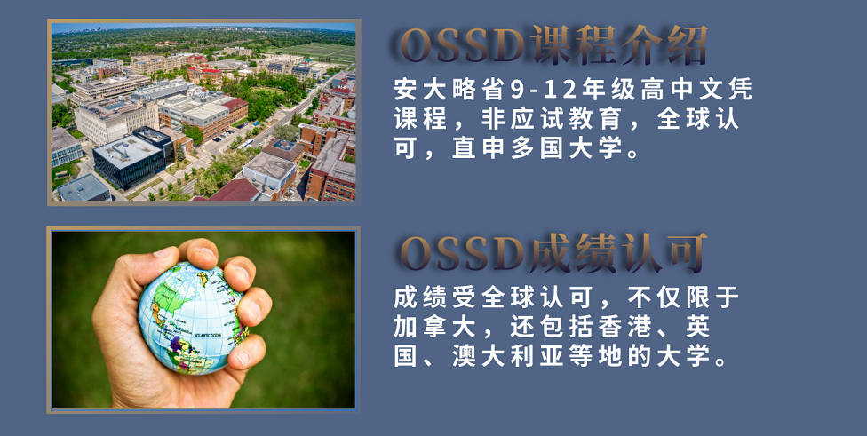 OSSD课程介绍1.png