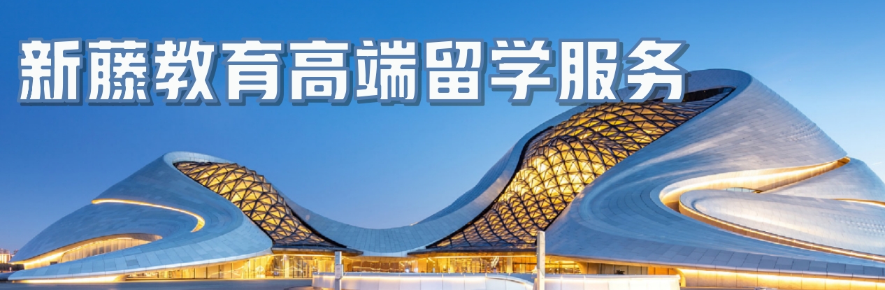 首图.png