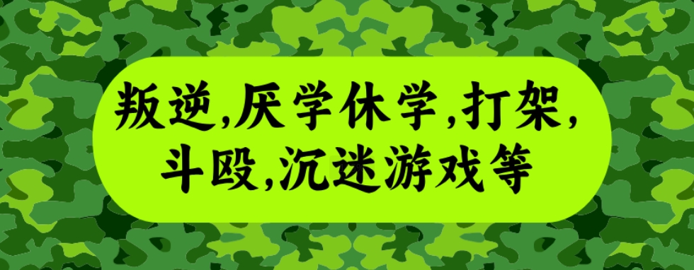 叛逆1.png