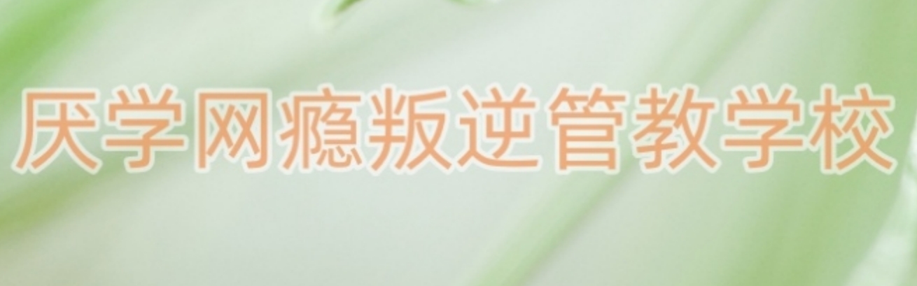 厌学网瘾叛逆学校.png