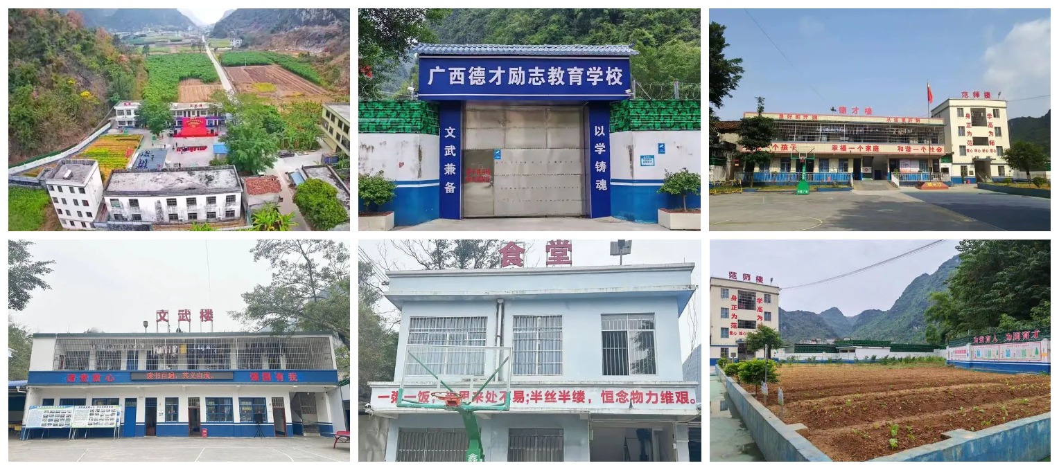 环境图.jpeg