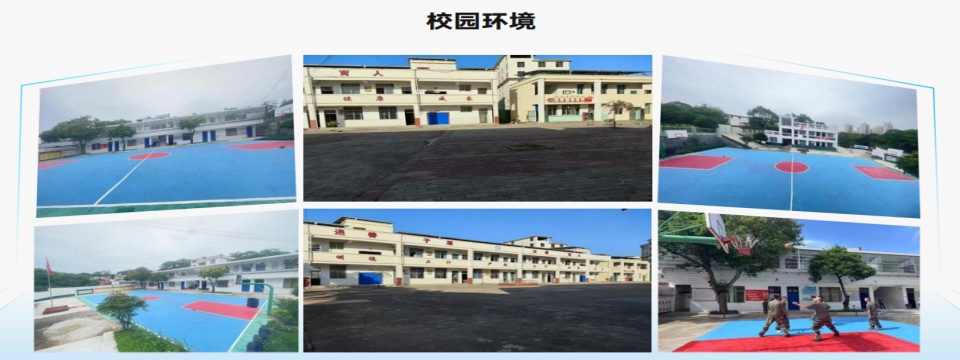 新环境拼.jpg