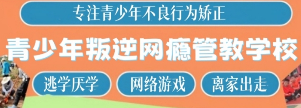 厌学网瘾离家出走.png