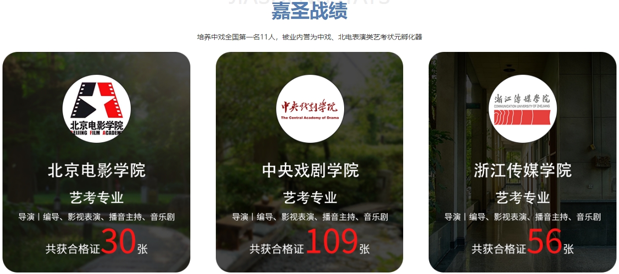 嘉圣战绩.png