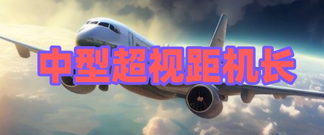 中型.png