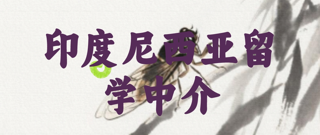 1首图.png